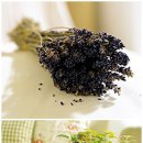 향기로운집 이미지