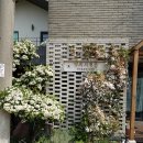 수산리-16 이미지