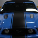 ㅜㅜ 아시겠지만 ...국내 한대 있는 2013 mustang GT 5.0 팝니다 ㅜㅜㅜㅜㅜㅜ 이미지