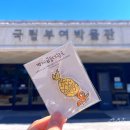 금동 | 국립부여박물관에서 만난 백제금동대향로 직관 후기!✨
