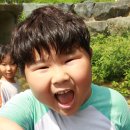 계곡이야기 이미지