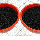 머루네건강원 이미지