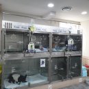 수메디칼시스템 이미지