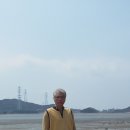 시화방조제 Daum카페