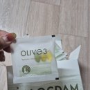 룩담