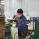 햇고을영농조합법인
