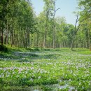 행복한 삶을 지속하기 위한 10가지 요소 | 시스템을 유지하기 위해서는 디스토피아가 필요하다, <기억 전달자> - 로이스 로리 | 후기, 느낀점, 줄거리
