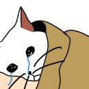 조은미용실 이미지