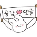 이음247 이미지