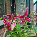 나리뷰티 이미지