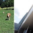 청구농장 이미지