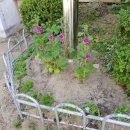 계산초등학교어린이집 이미지