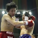 C.M. 복싱 이미지