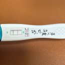 움튼산부인과의원 | 임신 7주차, 갑자기 임신!