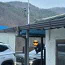 성서농협 신용산지점앞 | 나는 오래된 거리처럼 너를 사랑하고