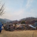 남쪽나라민박 이미지