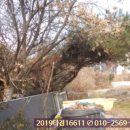 판암동230 이미지