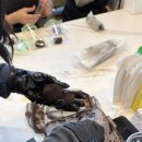 클로버푸드 이미지