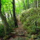 산새소리물소리 이미지