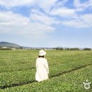 우도자동차정비 이미지