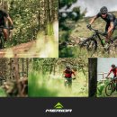 엠티브이22로 이미지