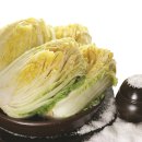 ㈜괴산청천절임배추 영농조합법인 | 괴산군, 절임배추 천일염 구입비 지원... 소금 공급 차질없어
