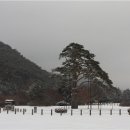 정일품 이미지