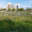 서상동143 이미지