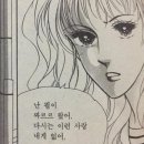 2025 SVT 9TH &lt;SEVENTEEN in CARAT LAND&gt; 후기 / &#39;영원&#39;히 셉랑해🩷🩵 원프는 웁니다