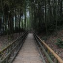 죽림원 이미지