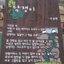 담쟁이 - 도종환 시, 김준범 곡 - 평화의 나무 합창단 이미지