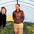이석찬농장 네이버블로그