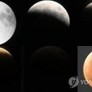 효자세탁소 이미지