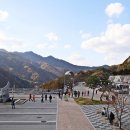 상부상회 티스토리