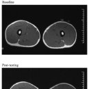 MUSCLE FLOW 이미지