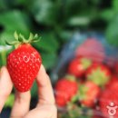 퀸스 휘트니스 이미지