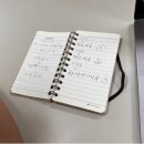 [실습 9일차] 월평빌라 이야기, 당사자 만남 및 일정 정리, 실수할 자유와 그 안에서 피어나는 자주성과 강점 이미지