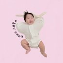 어썸바디웍스-이나 | 라포키드 아기바디수트 아이숏 무소음 스와들 꿀잠템