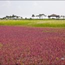 담양용대리석교 이미지