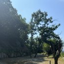 별을 다는 아이 | 경기북부 양주 캠핑장 별을다는아이 윗동 앞줄 후기✨