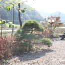 천안휴펜션 이미지