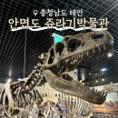 쥬라기별빛쉼터 | 안면도 쥬라기박물관 할인 포토존 해설 아이랑 태안 공룡박물관