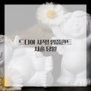 나치과의원 이미지