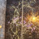 도치 | [서울 광화문] 소개팅/모임 장소로 적합한 도치피자 광화문 내돈내산 후기