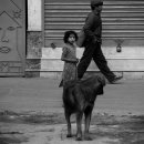 나를 본다 이미지