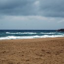 삼척해수욕장A 이미지