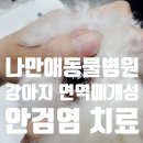 나만 애 동물병원 이미지