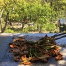 만물농장 이미지