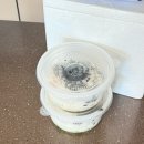 삼덜미가 | 25.06 - 첫번째 레슨 맛있는건 무족건 먹기~