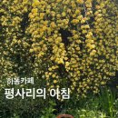 평사리 | [경남 하동 가볼만한곳] 5월 추천여행지 목향장미 스팟, 평사리의아침 솔직후기 (25/5/2일 기준)